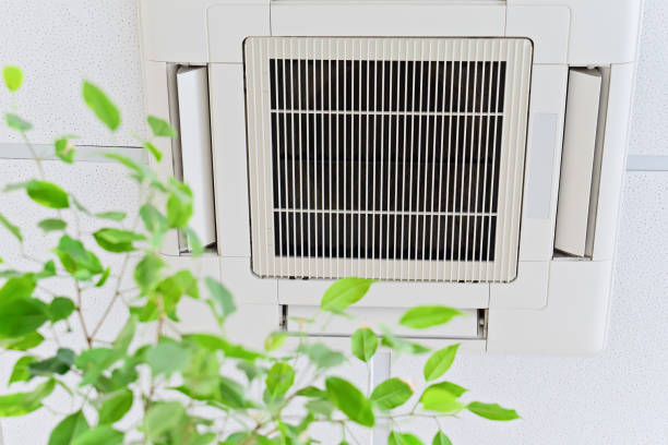 Best Local Air Duct Cleaning Services  in Vega, TX